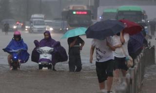 南方千年不遇的大雨是哪年